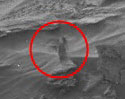 ฮือฮา ยานสำรวจ NASA จับภาพหญิงสาวปริศนา บนดาวอังคาร!