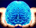 ปลูกเซลล์สมองคนในสมองหนู : โจทย์จริยธรรมข้อใหม่ของวงการประสาทวิทยา