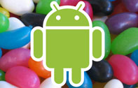 แอนดรอยด์ 5.0 Jelly Bean (Android 5.0 Jelly Bean) เตรียมปล่อยอัพเดท ในไตรมาสที่ 3 นี้