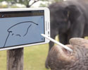 ชมความน่ารักของ ช้างไทย ในโฆษณาชิ้นใหม่ของ Samsung Galaxy Note