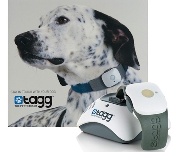 Tagg The Pet Tracker