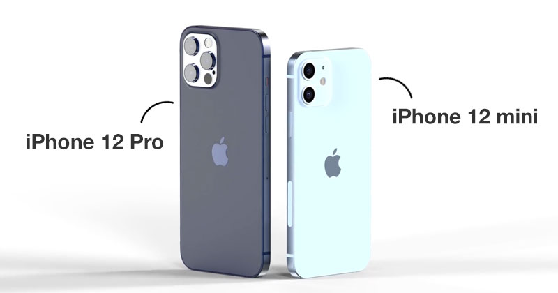 เปรียบเทียบ iphone 12 pro กับ 12 pro max best buy