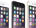 สาวกแห่จอง iPhone 6 และ iPhone 6 Plus จนเว็บล่ม พบ iPhone 6 Plus ขายดีสุด 
