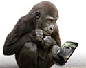 กระจกพันธุ์แกร่ง Gorilla Glass 5 มาแน่ ปกป้องหน้าจอจากการตกที่ความสูงถึง 1.6 เมตร ทนกว่าเดิมเกือบ 60%