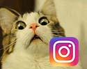 Instagram ออกฟีเจอร์ใหม่แจ้งเตือนอีกฝ่ายเมื่อเราแอบแคปหน้าจอเก็บไว้ หรือจะเป็นจุดจบสายส่อง?