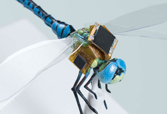 DragonflEye แมลงปอไซบอร์กตัวแรกของโลก ก้าวใหม่ของวงการโดรนชีวภาพเพื่อการสำรวจและบังคับได้จริง