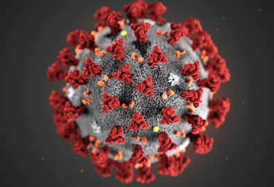 อากาศร้อน ช่วยหยุดยั้งการระบาดของไวรัสได้จริงหรือ ?