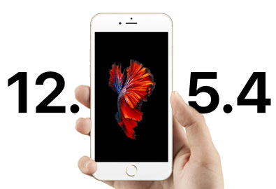 Apple ปล่อย iOS 12.5.4 ให้ iPhone รุ่นเก่า เน้นด้านความปลอดภัย iPhone 5s ก็อัปเดตได้