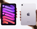 iPad mini รุ่นใหม่ ใกล้เปิดตัว! คาดอัปเกรดครั้งใหญ่ จอ OLED ชิปใหม่ กันน้ำดีขึ้น