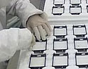 หลุดภาพหน้าจอ iPhone 5 จากโรงงานผู้ผลิต ย้ำชัด หน้าจอใหญ่ขึ้นจริง!