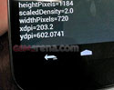 หลุดภาพแรกของ Nexus Prime ลือ หน้าจอใหญ่ถึง 4.6 นิ้ว