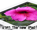 ราคา The new iPad (ราคา iPad 3) : สรุป ราคา The new iPad ราคาเท่าเดิม เพิ่มการรองรับ 4G iPad 2 ลดลง 3,000 บาท