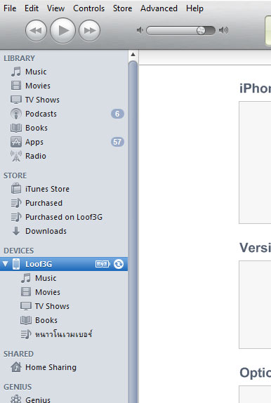 ios-4-2-1-upgrade-2 ios-4-2-1-upgrade-2