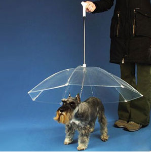 dogbrella